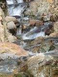 IMG_0330Cascading creek.JPG