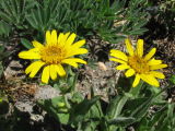Img_0369.jpg