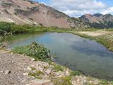 IMG_0389Pond near Conrad Creek.JPG