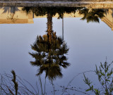 It's an upside down world
