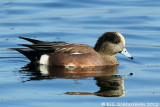 1IMG_1012 copy.jpg