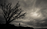 Afternoon At East Point: Saturna Island, British Columbia (Saturna_122212_0332-1.jpg)