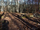 Lines, Light & Shadows #15