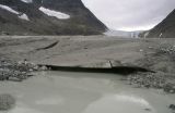 At the front of the glacier.jpg