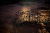 A Grave Matter