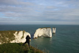 Dorset Coast