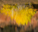 Autumn Relflections