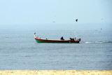 Fisherman with circling birds, Alappuzha, Kerala