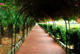 Lalbagh Botanical Gardens, Bangalore