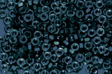 Nuts in Tri tone copy.jpg