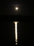 01 A winter moon 6639