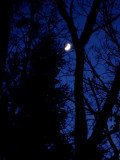 18 Winter moon 6741