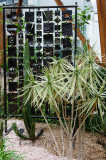 9 March: Black and Green
