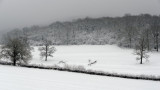 winter of our discontent