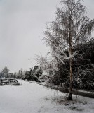 0022.JPG