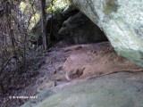 Plaats Picathartes - Place of the Picathartes