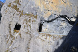 DSC_1986.jpg