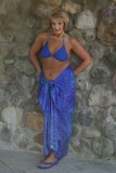 04 blue bikini nov 11 2012.jpg