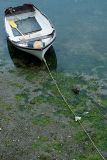 Rowing boat, Mevagissey, Cornwall