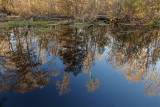 Reflection1 correct