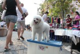 Getting Ready for the Chiang Mai Sunday Market