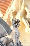 Wat Phra Singh Guardian