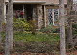 LENS TEST - SONY 35mm f/1.8 E-MOUNT PRIME LENS - HEAVY CROP FROM THE PREVIOUS IMAGE