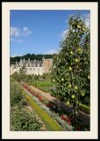 Chateau de VillandryJardin potager
