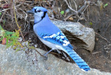 10-17-12_024.jpg