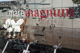 Mare Magnum _D7M5834s.jpg