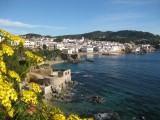 Calella de Palafrugell