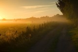 Falls.Mist