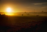 Falls.HERD in the Morning VIII