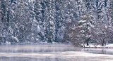 Winter is near my Home