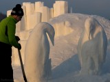 The snow scultor and the Penguins