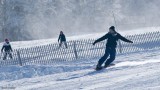 Surfer in Snow Park