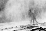 Hidden by the Snow of the Snow Gun