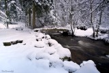 The little bridge of Fairies