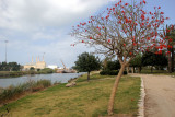 Haifa-Park-Kishon_23-3-2013 (18).JPG