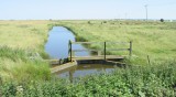 The marshes between Leysdown and Harty Ferry.