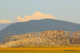 DSC_0555.JPG