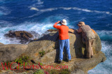 Point Lobos Ledge