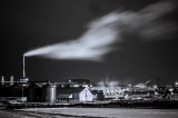Wilton Plant
