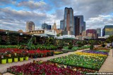 Dallas skyline behind Ruibal's Plants of Texas