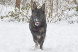 rio first snow