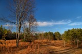 Wilton Preserve in HDRNovember 10, 2012