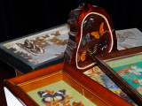 Butterfly Seminar_mounted framed.jpg
