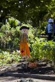 South Coast Botanic Garden