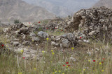 Ancient City of Seymareh (Madakto)