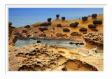 Yehliu Geopark 4 野柳地質公園